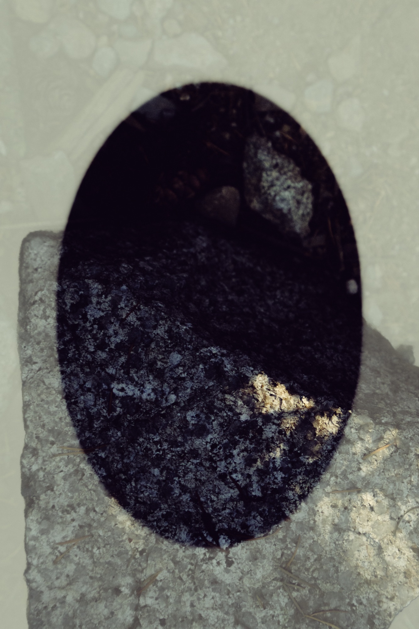 Abstract double exposure of a forest reflected across a rock-like form